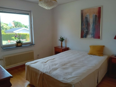 Övrig - 